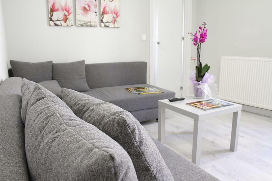 Apartamentos Logrono Centro Ngoại thất bức ảnh